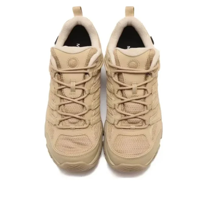 Moab 3 SYN Gore-Tex «Incense»